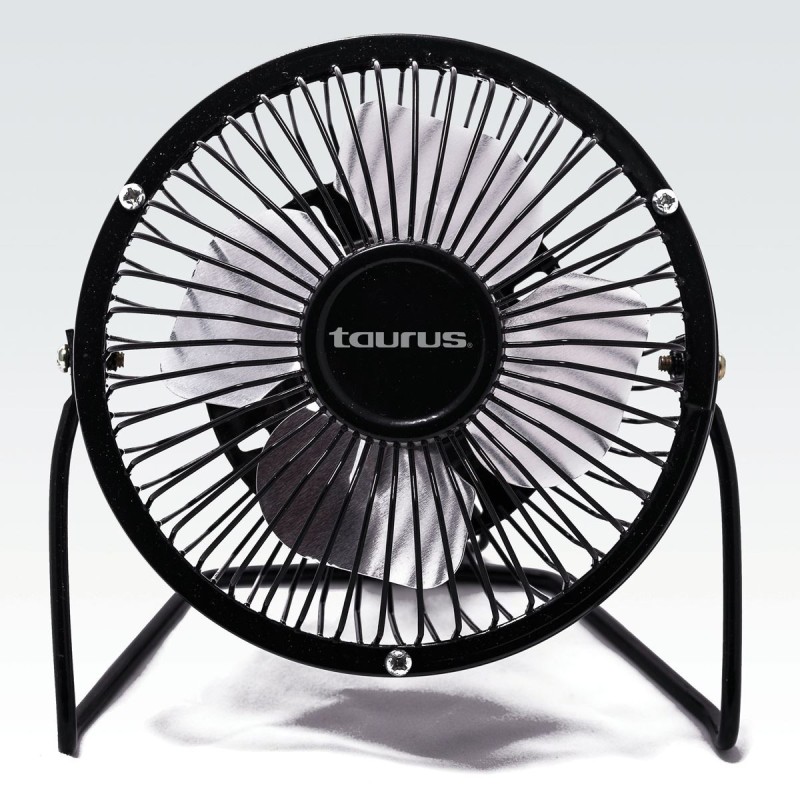 Mini Fan