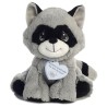 Mapache Rascal