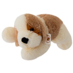 Perro Oly Echado