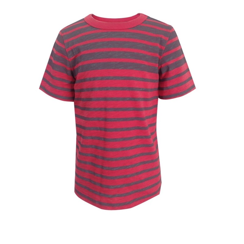 Playera Estampada Rayas Combinadas Carters