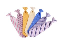 Corbata Zilerys