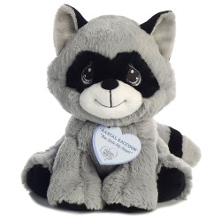 Mapache Rascal