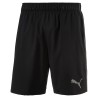 Short Training Puma Caballero