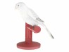 Parrot Light Lladró
