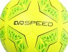 Balón Puma evoSPEED 3 5