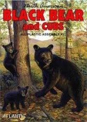 Black Bear and Cubs