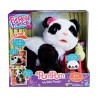 Pandita Pom Pom