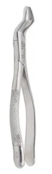FORCEP #53L MOLARES - SUP ARAIN