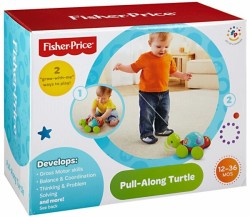Tortuga de Aprendizaje