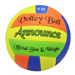 Balón de Voleibol