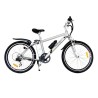 Bicicleta Electrica EcoMobile Power Plus 36V -Plata