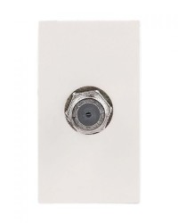 TOMA TV COAXIAL MARFIL | BETA | ESTEVEZ