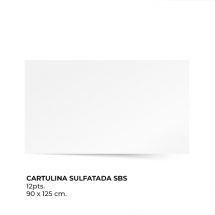 Cartulina Sulfatada SBS 12 puntos 1 cara