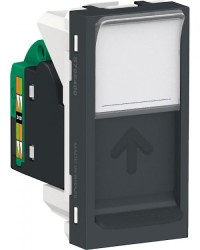 Modulo de transmisión de datos RJ45 Cat. 5e. Grafito