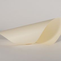 Papel de textura de grano Superfine Eggshell color marfil