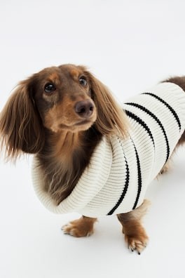 Suéter para perro en tejido acanalado