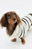 Suéter para perro en tejido acanalado