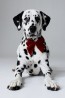 Corbata de moño para perro
