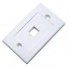 Placa de pared 1 puerto intellinet blanca Placa de 1 puerto Faceplate intellinet Faceplate 2x4 Blanca