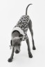 Suéter para perro en jacquard