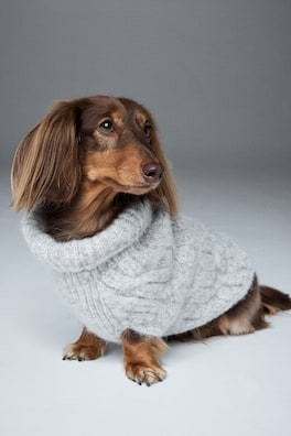 Suéter para perro en tejido trenzado