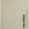 Papel de textura rústica Loop Antique Vellum color hueso