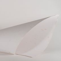 Cartulina sustentabe color blanco con colilla de cigarro