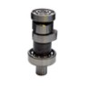 ARBOL LEVAS (2R) PULSAR 200NS F.I./BS4