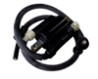 BOBINA ENCENDIDO IZQUIERDO PULSAR 200NS