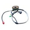 ESTATOR 18 BOBINAS NS200 FI