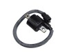 BOBINA ENCENDIDO DERECHO PULSAR 160NS/PULSAR NS 160TD/PULSAR 150NS/PULSAR AS150