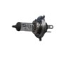 FOCO 12V 60/55W H4 PULSAR 200NS/DUKE 200/DUKE 390