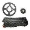KIT CADENA 14/43 DISCOVER 100M/PLATINA 110