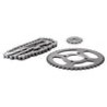 KIT CADENA PLATINA 100